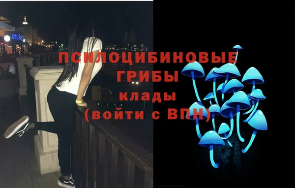 прущие грибы Абдулино