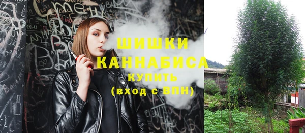 прущие грибы Сатка