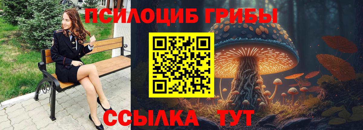 Алатырь  Галлюциногенные грибы мицелий  Псилоцибиновые грибы MAGIC MUSHROOMS  Вход с VPN 