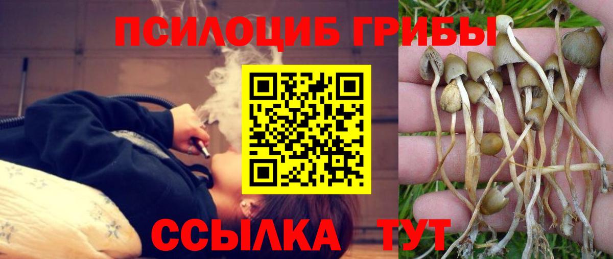 Галлюциногенные грибы MAGIC MUSHROOMS Алатырь